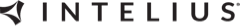 Intelius logo